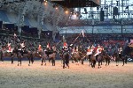 Cavalry - 00254